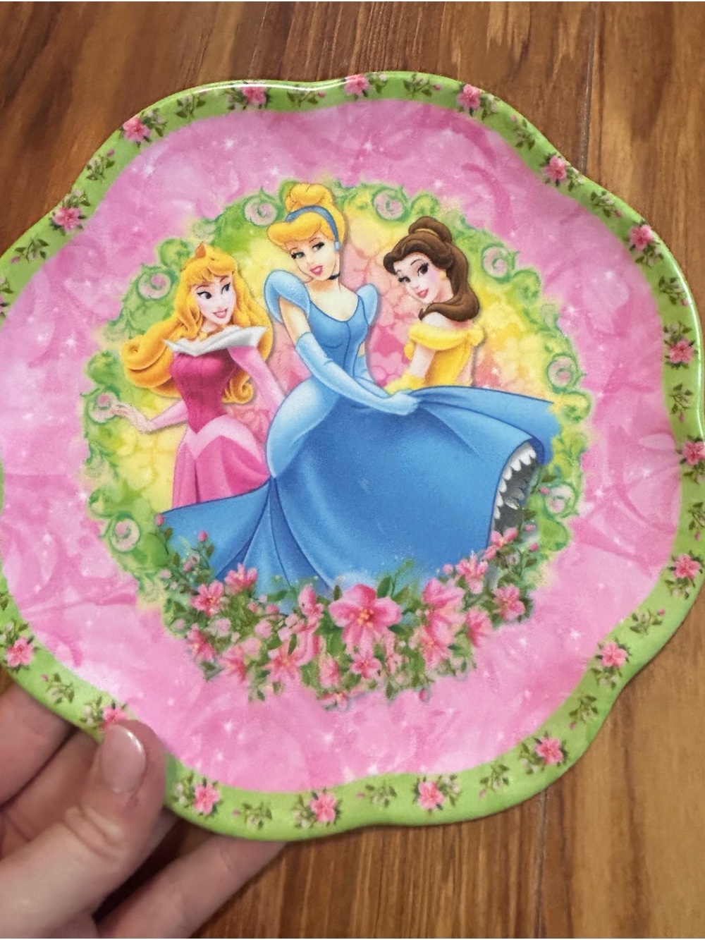 y2k Disney Pink and Blue Princess Plate with Green Floral Edge